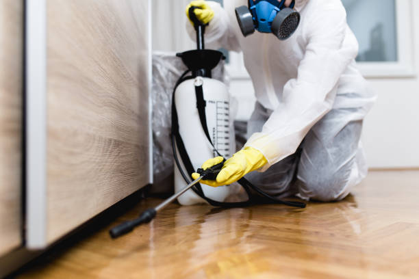 Best Local Pest Control Services  in Cobden, IL