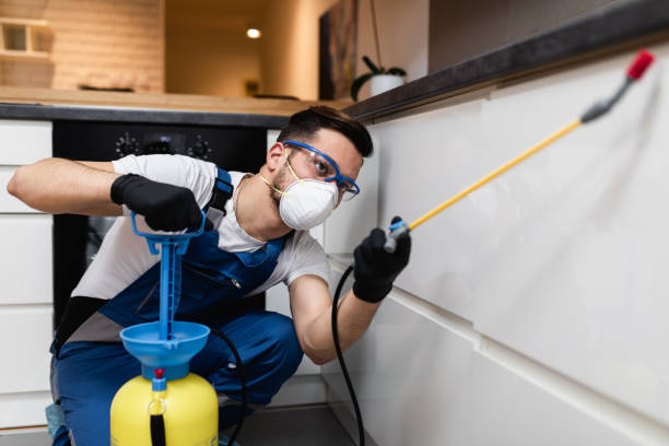 Best Pest Prevention Services  in Cobden, IL