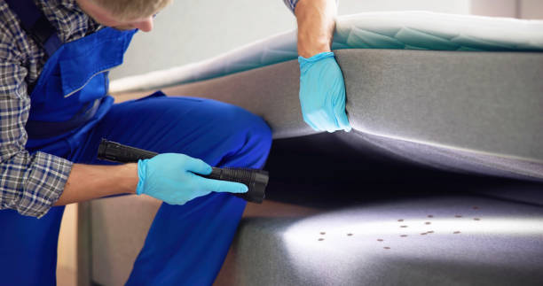 Best Best Pest Control Companies  in Cobden, IL