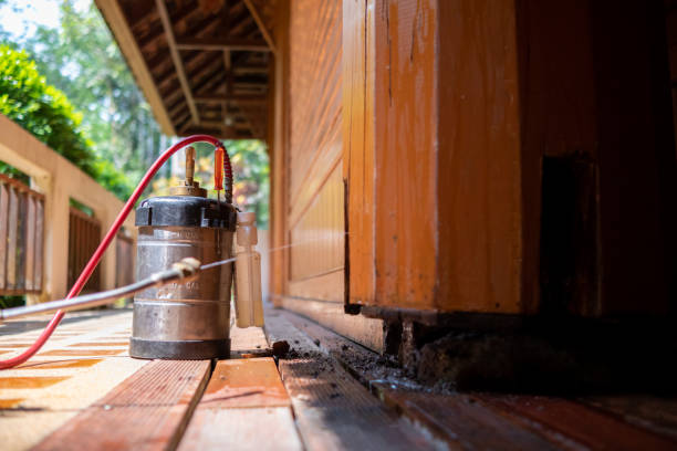 Best Termite Control Services  in Cobden, IL