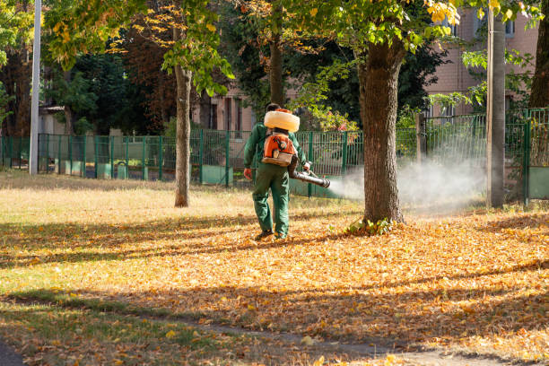 Reliable Cobden, IL Pest Control Solutions