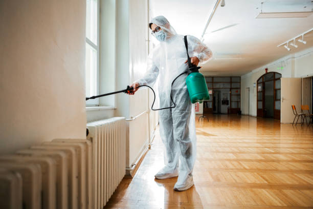 Best Flea Control Services  in Cobden, IL